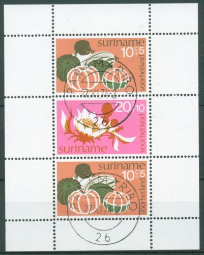 Surinam 1974 Voor het Kind Block Früchte Blumen 14 gestempelt (C63451)