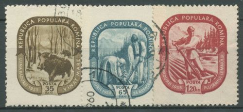 Rumänien 1955 Monat des Waldes Wildschwein Flößer 1497/99 gestempelt