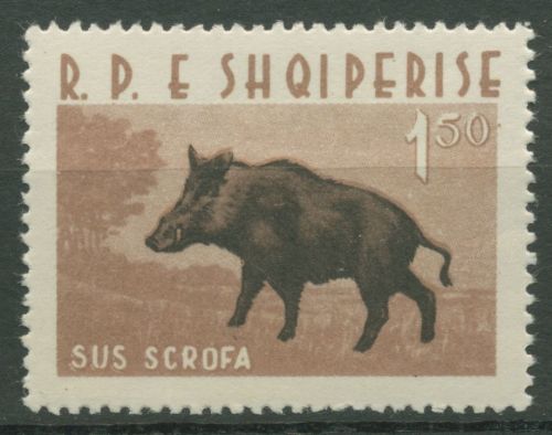 Albanien 1962 Tiere Wildschwein 701 postfrisch