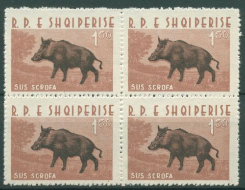 Albanien 1962 Tiere Wildschwein 701 4er-Block postfrisch