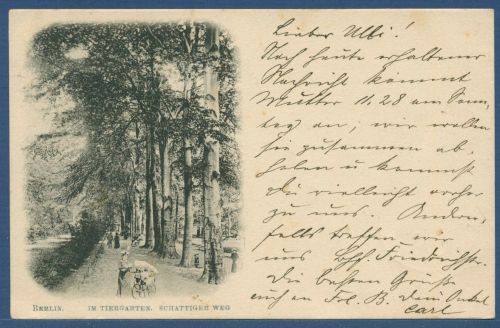 Berlin Im Tiergarten Schattiger Weg, gelaufen 1904 (AK5008)