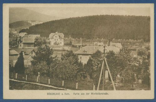 Braunlage Partie aus der Wietfelderstraße, ungebraucht (AK5035)
