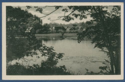 Stiege Harz Am Mühlenteich, gelaufen 1961 (AK5180)