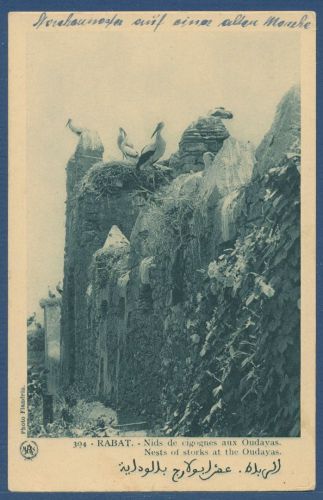 Storchennester auf einer Ruine in Rabat Marokko, ungebraucht (AK5194)