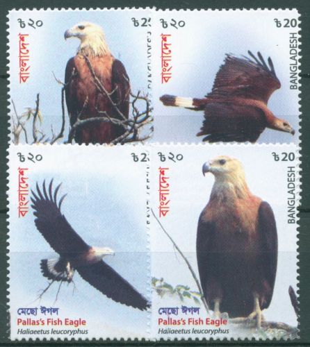 Bangladesch 2018 Tiere Vögel Seeadler 1314/17 A postfrisch