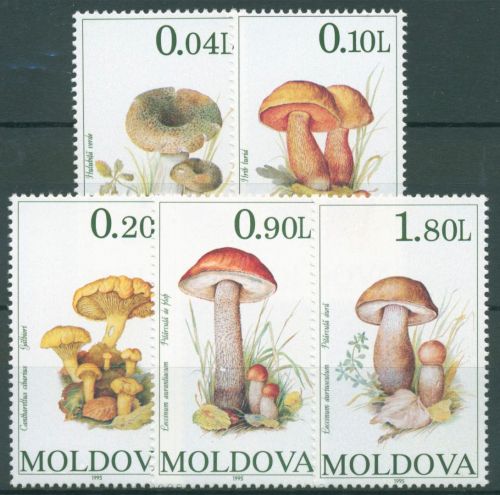 Moldawien 1995 Pilze 153/57 postfrisch