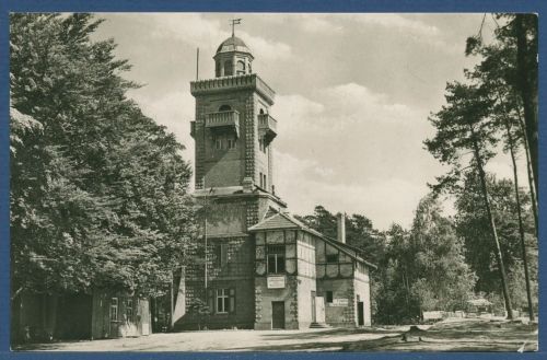 Bad Schmiedeberg Aussichtsturm mit Gaststätte, gelaufen 1964 (AK5291)