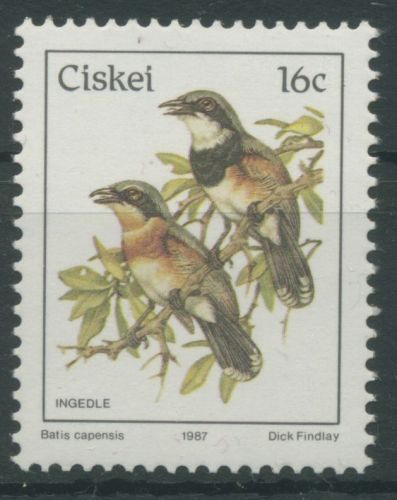 Ciskei 1987 Vögel Kapschnäpper 114 postfrisch