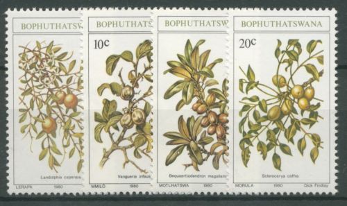 Bophuthatswana 1980 Pflanzen Wildobst 56/59 postfrisch