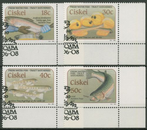 Ciskei 1989 Fische Forellenzucht 153/56 Ecke 4 gestempelt