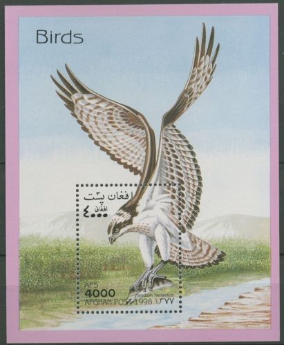 Afghanistan 1998 Vögel Fischadler Block 105 postfrisch (C12691)