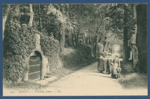 Jersey Vinchelez Lane, ungebraucht (AK5330)