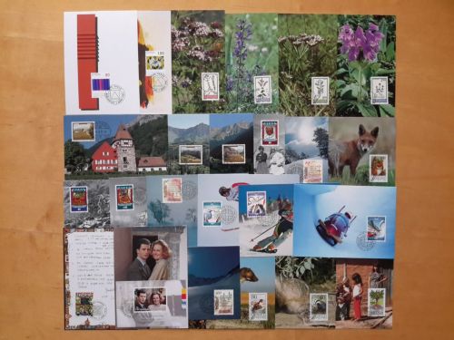 Liechtenstein 1993 Maximumkarten Jahrgang komplett (XL60004)