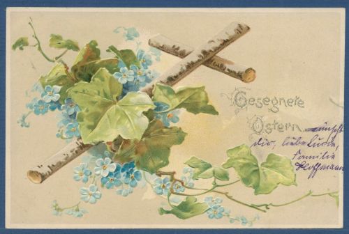 Gesegnete Ostern Efeu Vergißmeinnicht Prägekarte, gelaufen 1904, Einriß (AK5611)