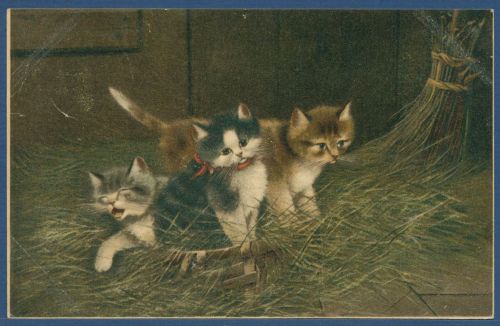 Drei junge Katzen im Heu, gelaufen 1902 (AK5619)