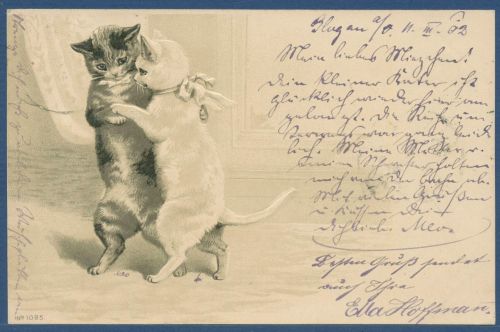 Zwei Katzen beim Tanz Prägekarte, gelaufen 1902 (AK5627)
