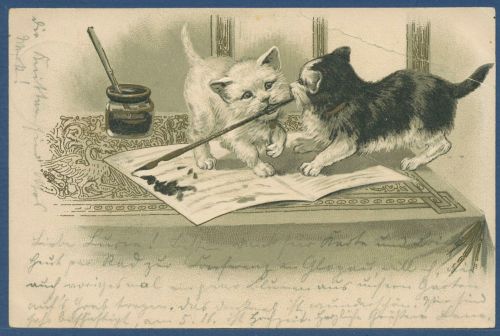 Zwei junge Katzen mit Schreibfeder Prägekarte, gelaufen 1904, Mängel (AK5624)