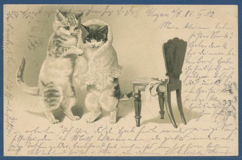 Zwei Katzen, eine mit Stola Prägekarte, gelaufen 1902 (AK5622)