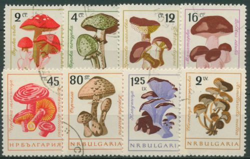 Bulgarien 1961 Pilze Kaiserling, Steinpilz, Hallimasch 1263/70 gestempelt