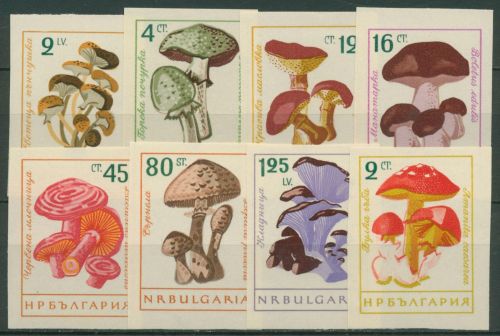 Bulgarien 1961 Pilze 1271/78 postfrisch geschnitten