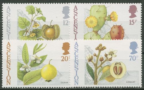 Ascension 1987 Obst Guave Kapstachelbeere Wollmispel 425/28 postfrisch