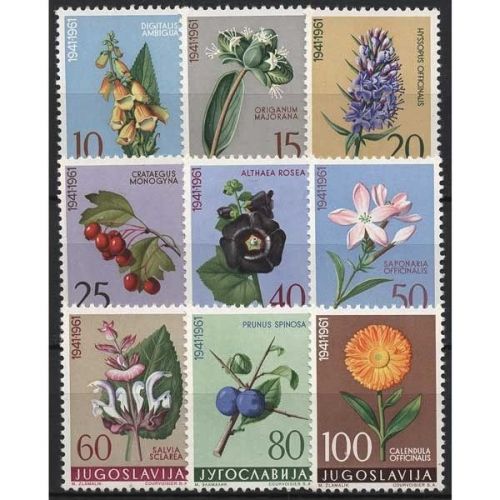 Jugoslawien 1961 Pflanzen Blumen 943/51 postfrisch