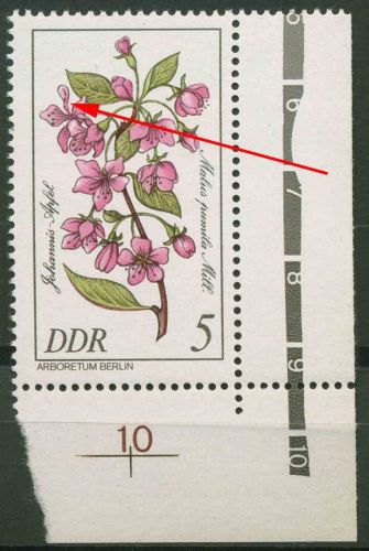 DDR 1981 Seltene Gehölze mit Plattenfehler 2573 F 50 Ecke postfrisch