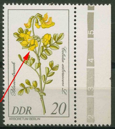 DDR 1981 Seltene Gehölze mit Plattenfehler 2575 F 20 postfrisch