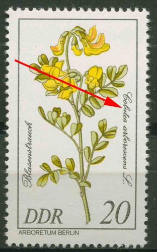 DDR 1981 Seltene Gehölze mit Plattenfehler 2575 F 35 postfrisch