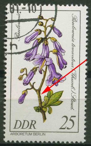 DDR 1981 Seltene Gehölze mit Plattenfehler 2576 F 38 gestempelt