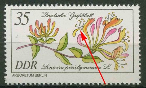 DDR 1981 Seltene Gehölze mit Plattenfehler 2577 F 6 postfrisch