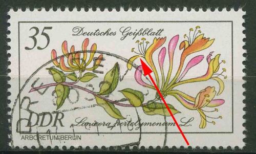 DDR 1981 Seltene Gehölze mit Plattenfehler 2577 F 6 gestempelt