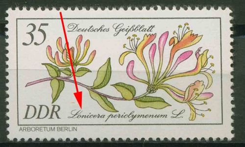 DDR 1981 Seltene Gehölze mit Plattenfehler 2577 F 24 postfrisch