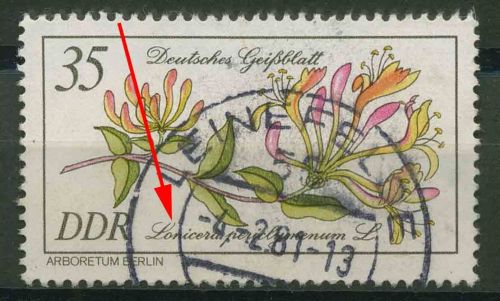 DDR 1981 Seltene Gehölze mit Plattenfehler 2577 F 24 gestempelt