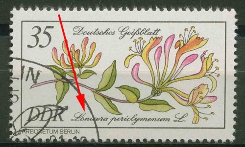 DDR 1981 Seltene Gehölze mit Plattenfehler 2577 F 24 mit Sonderstempel