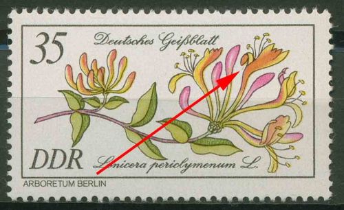 DDR 1981 Seltene Gehölze mit Plattenfehler 2577 F 47 postfrisch