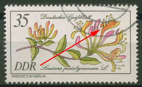 DDR 1981 Seltene Gehölze mit Plattenfehler 2577 F 47 mit Massenentwertung