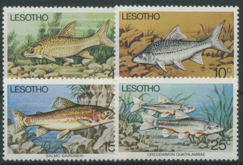 Lesotho 1977 Fische 237/40 postfrisch