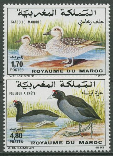 Marokko 1993 Vögel Marmelente Kanmmblässralle 1240/41 postfrisch