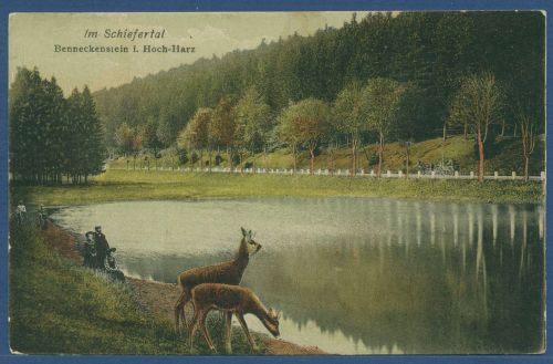 Im Schiefertal Benneckenstein im Hochharz, gelaufen 1918 Marke fehlt (AK5543)