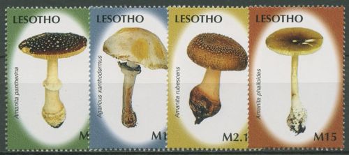 Lesotho 2007 Pilze Pantherpilz Perlpilz 1987/90 postfrisch