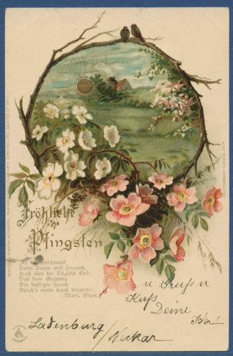 Fröhliche Pfingsten Blüten Sonnenaufgang, gelaufen 1901 (AK5665)