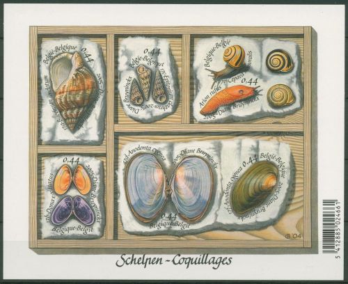 Belgien 2005 Muscheln und Schnecken 3467/72 Fb postfrisch (C42492)