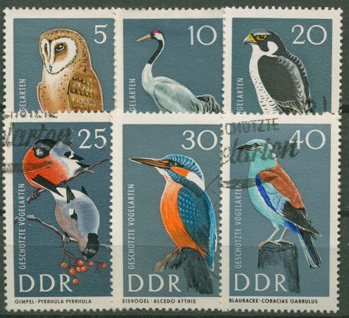 DDR 1967 Tiere Vögel Eule Kranich Falke 1272/77 gestempelt