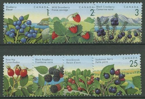 Kanada 1992 Wildfrüchte Blaubeere Hagebutte Krähenbeere 1307/13 postfrisch