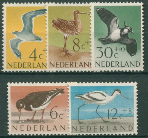 Niederlande 1961 Tiere Vögel Möwe, Kiebitz, Austernfischer 760/64 postfrisch