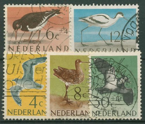 Niederlande 1961 Tiere Vögel Möwe, Kiebitz, Austernfischer 760/64 gestempelt