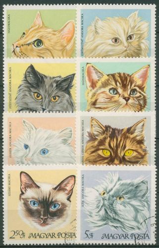 Ungarn 1968 Hauskatzen 2387/94 A gestempelt