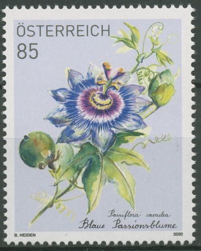 Österreich 2020 Treuebonusmarke Blumen Passionsblume 3510 postfrisch