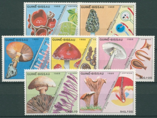 Guinea-Bissau 1988 Pilze Fruchtkörper und Sporen 989/95 postfrisch
